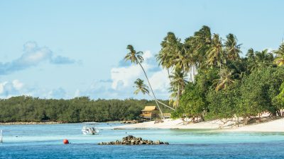 Surf Trip on the Boat in Maldives 2026/May 🈵