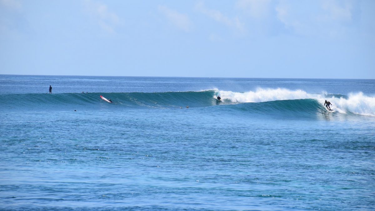 Surf Trip on the boat in Maldives 2025